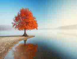 nodejs教‍程﻿ 廖‍雪‌峰‌